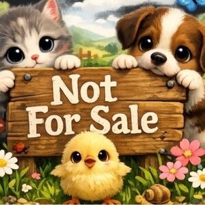 NWT sealed VS cactus lotion